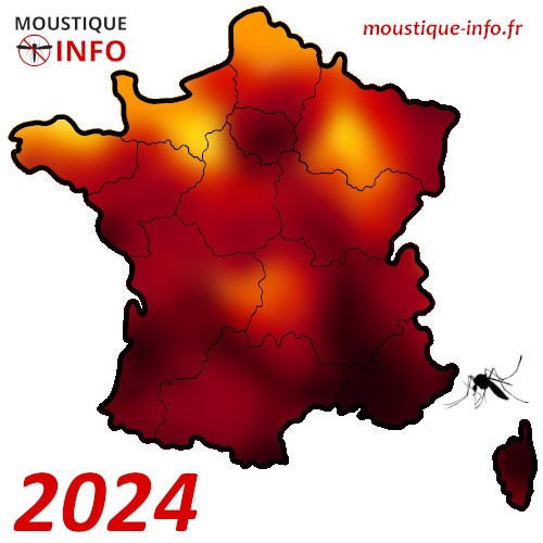 moustique-tigre-france-2024
