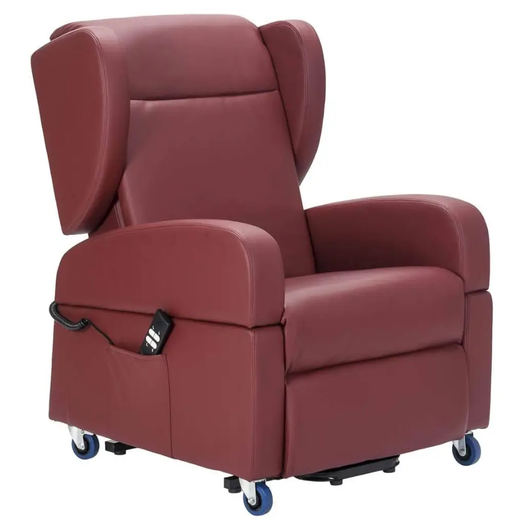 fauteuil releveur cuir bordeaux