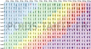 IMC en images catégories